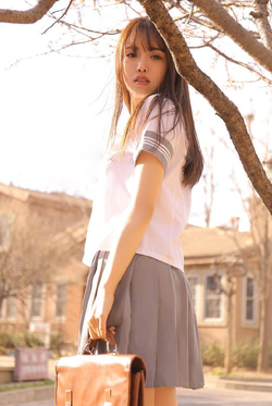 下载注册流程示意图